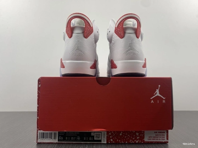 Rep TBkick Retro Jordan 6 Hare CT8529-162 0807